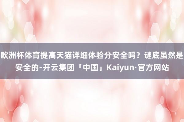 欧洲杯体育提高天猫详细体验分安全吗？谜底虽然是安全的-开云集团「中国」Kaiyun·官方网站