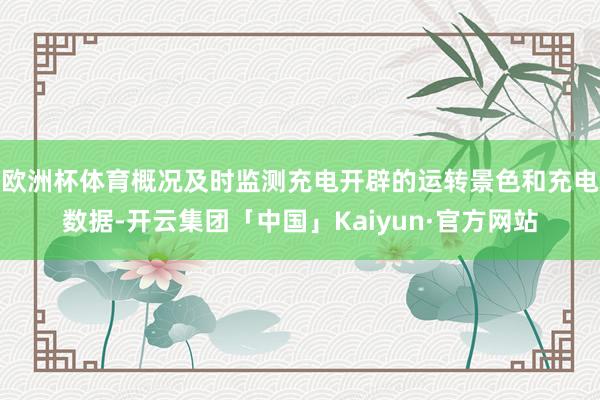 欧洲杯体育概况及时监测充电开辟的运转景色和充电数据-开云集团「中国」Kaiyun·官方网站