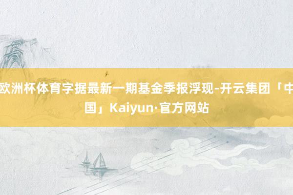 欧洲杯体育字据最新一期基金季报浮现-开云集团「中国」Kaiyun·官方网站