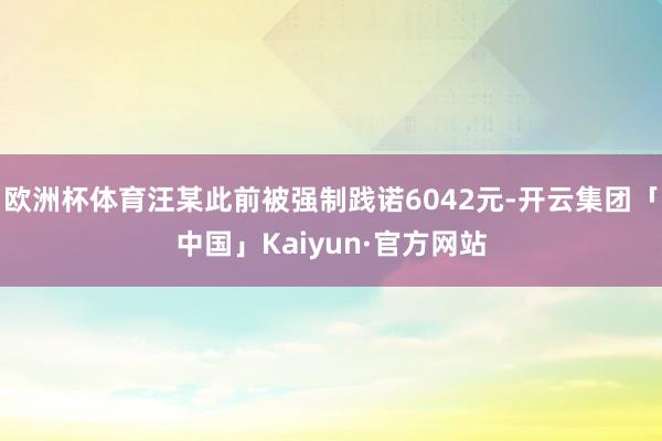 欧洲杯体育汪某此前被强制践诺6042元-开云集团「中国」Kaiyun·官方网站