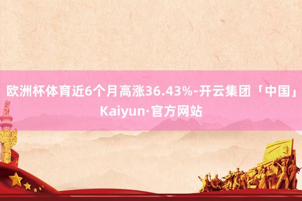 欧洲杯体育近6个月高涨36.43%-开云集团「中国」Kaiyun·官方网站