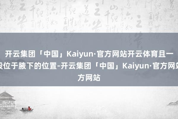 开云集团「中国」Kaiyun·官方网站开云体育且一般位于腋下的位置-开云集团「中国」Kaiyun·官方网站
