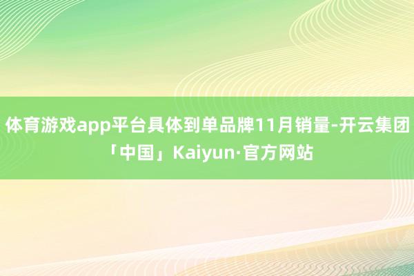 体育游戏app平台具体到单品牌11月销量-开云集团「中国」Kaiyun·官方网站