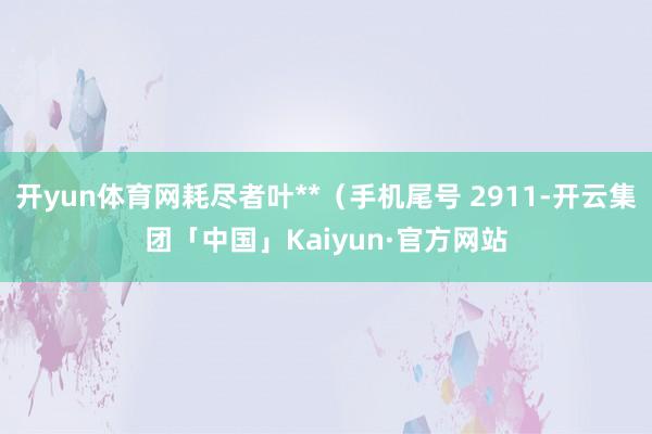 开yun体育网耗尽者叶**（手机尾号 2911-开云集团「中国」Kaiyun·官方网站